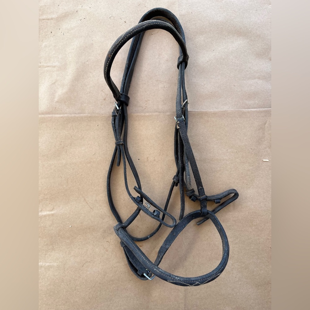English Bridle